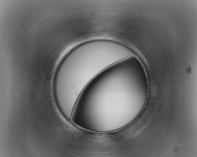 X0000091561416200708171052