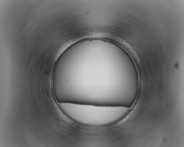 X0000091561417200708171052