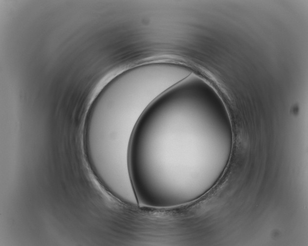 X0000091561418200708171052