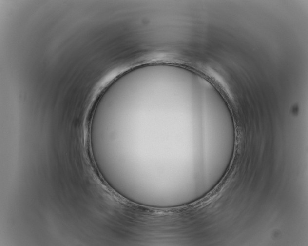 X0000091561419200708171052