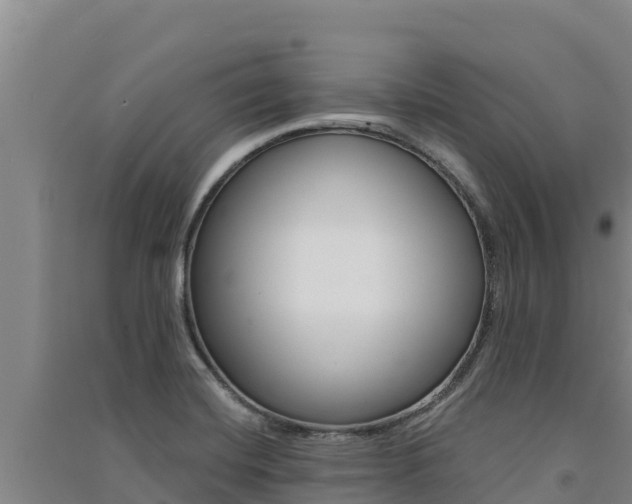 X0000091561420200708171052