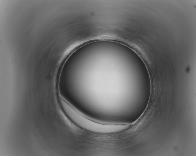 X0000091561422200708171052