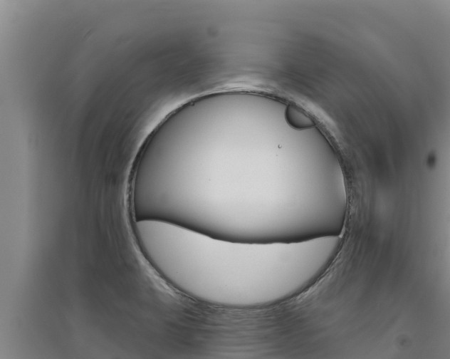 X0000091561423200708171052