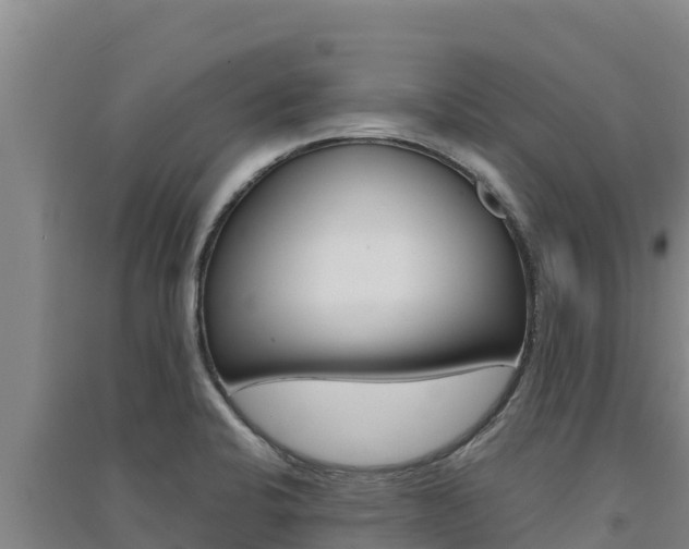 X0000091561424200708171052
