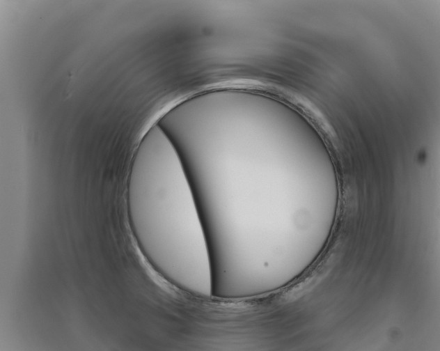 X0000091561425200708171052