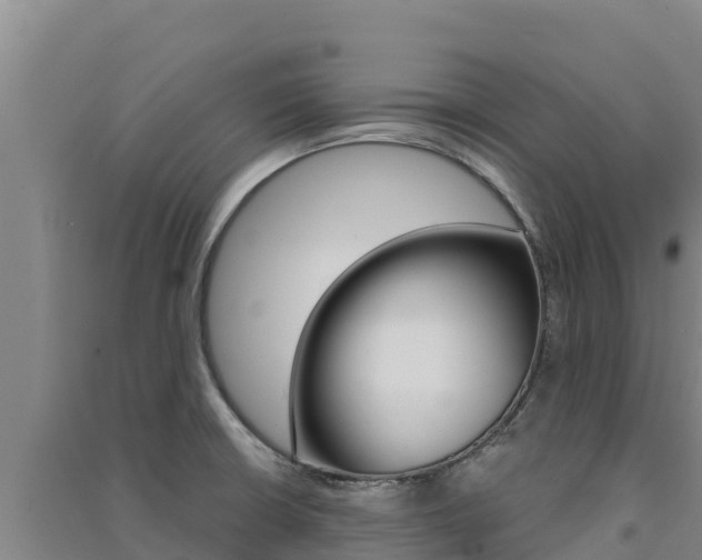 X0000091561426200708171052