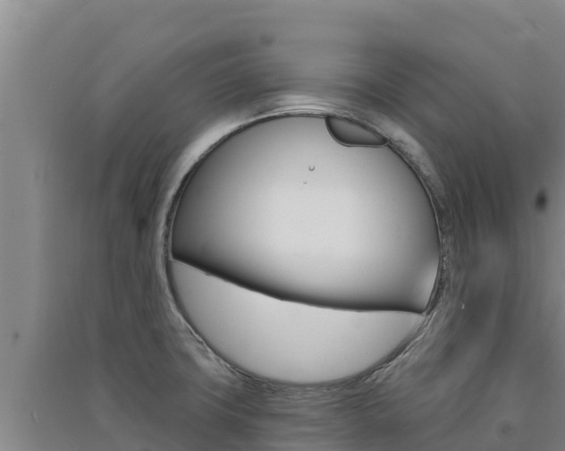 X0000091561427200708171052
