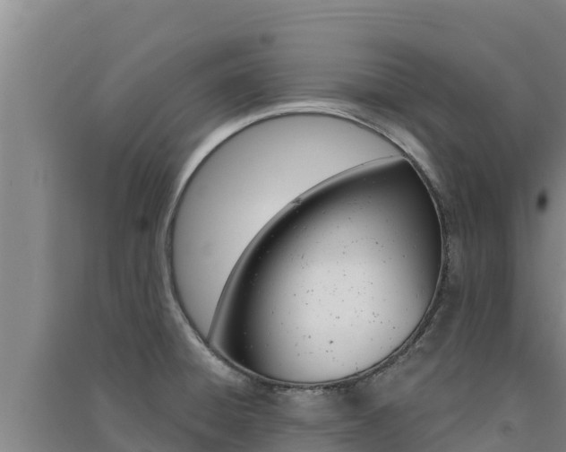 X0000091561428200708171052