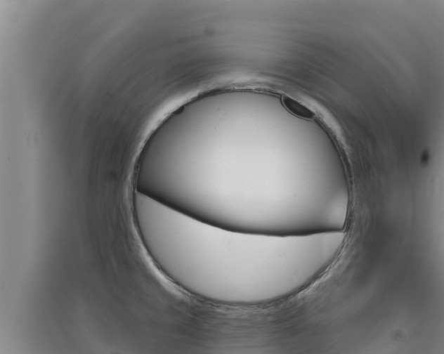 X0000091561429200708171052