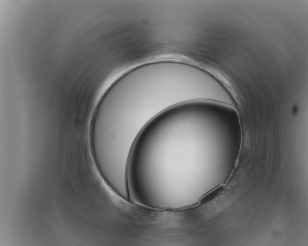 X0000091561430200708171052