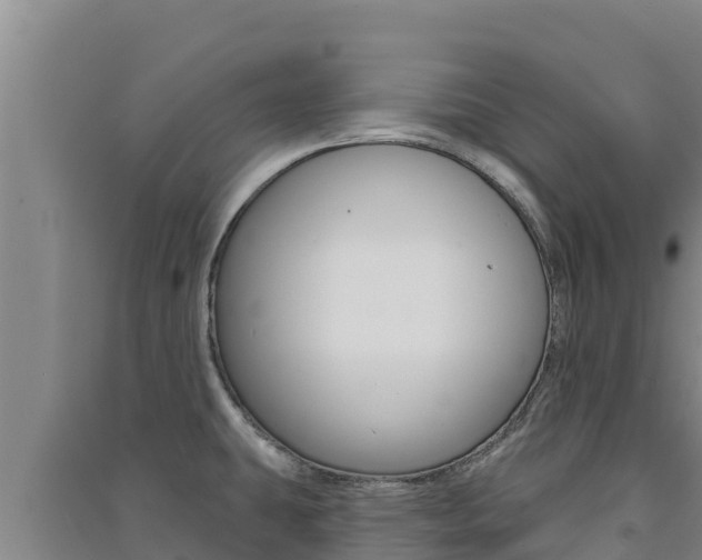 X0000091561431200708171052