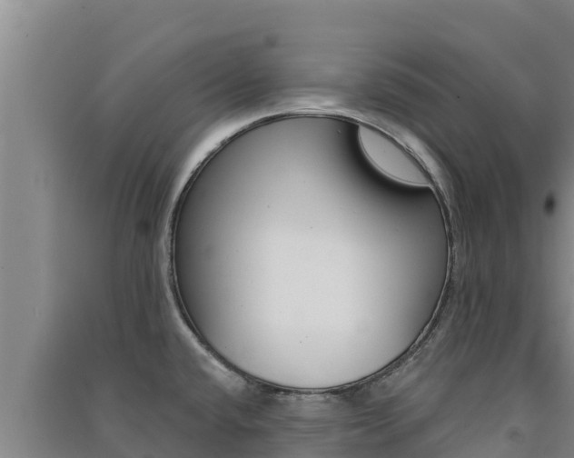 X0000091561432200708171052