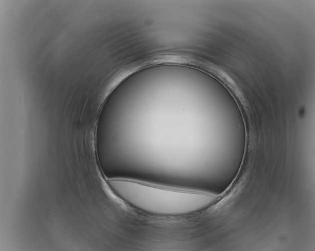 X0000091561433200708171052