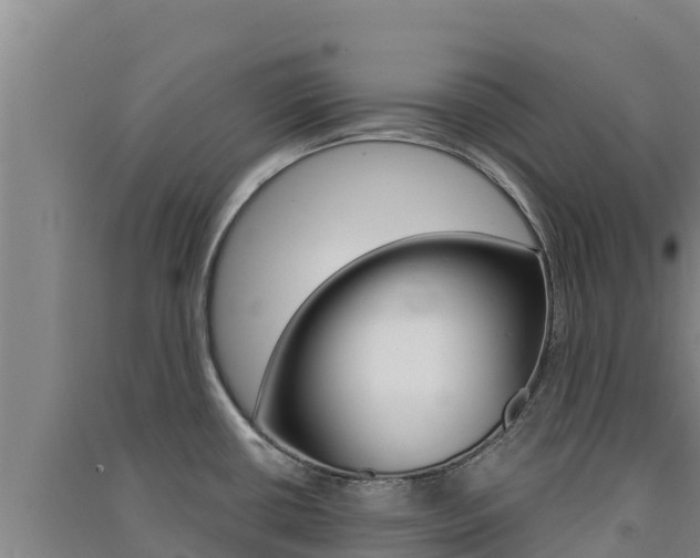 X0000091561434200708171052
