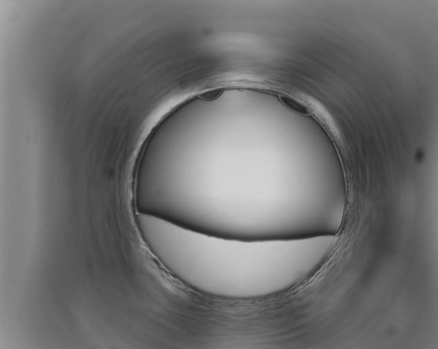 X0000091561435200708171052