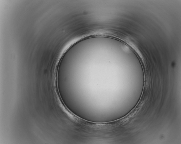 X0000091561437200708171052