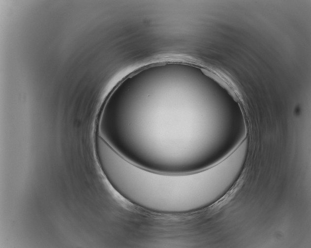 X0000091561438200708171052