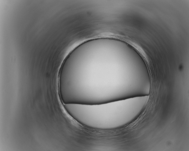 X0000091561439200708171052