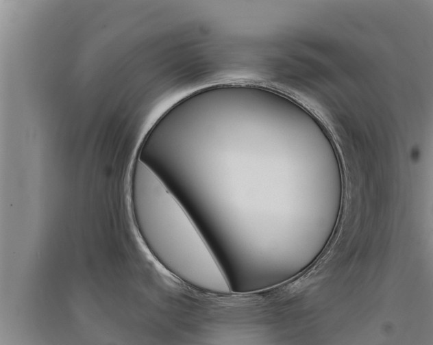 X0000091561440200708171052