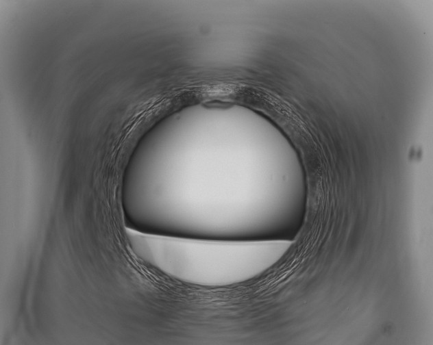 X0000091561441200708171051