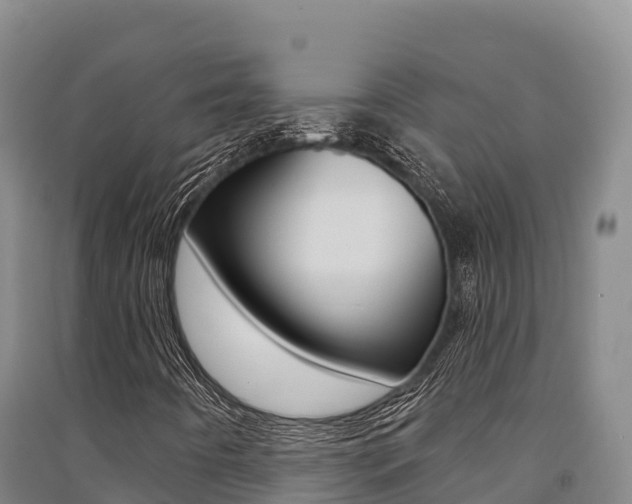X0000091561442200708171051