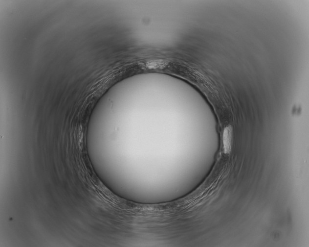 X0000091561443200708171051