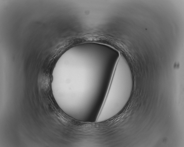 X0000091561444200708171051