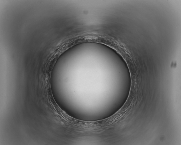 X0000091561445200708171051