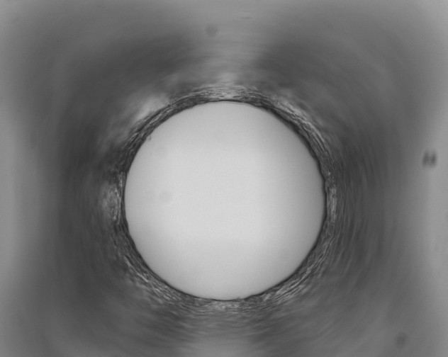 X0000091561446200708171051