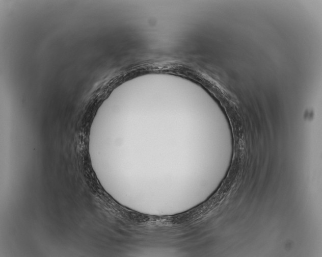 X0000091561447200708171051