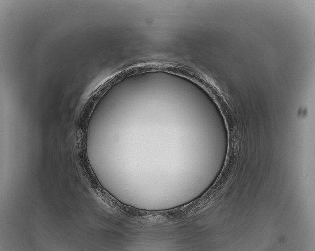 X0000091561448200708171051