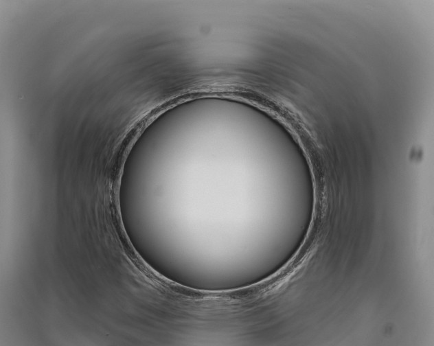 X0000091561449200708171051