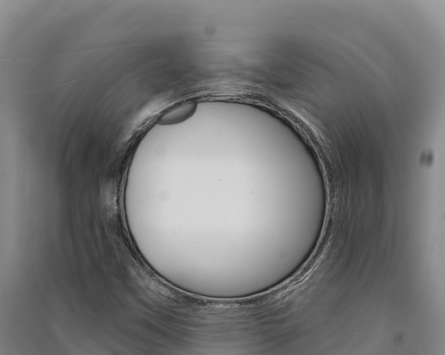 X0000091561451200708171051