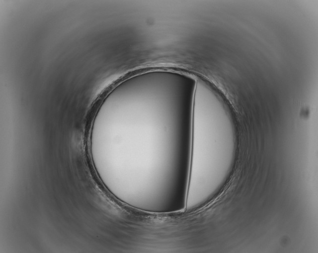 X0000091561452200708171051