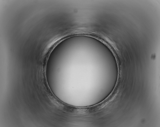 X0000091561453200708171051