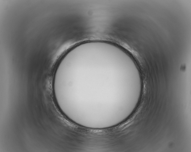 X0000091561454200708171051