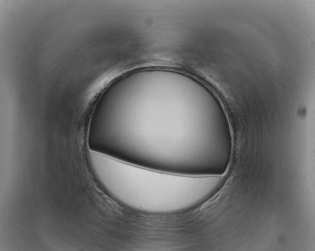 X0000091561455200708171051