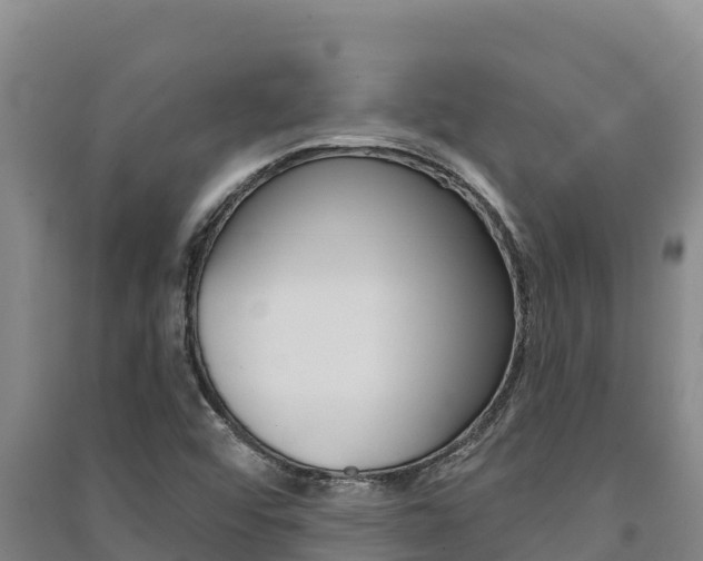 X0000091561456200708171051