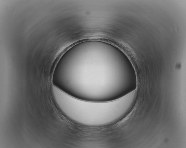 X0000091561457200708171051