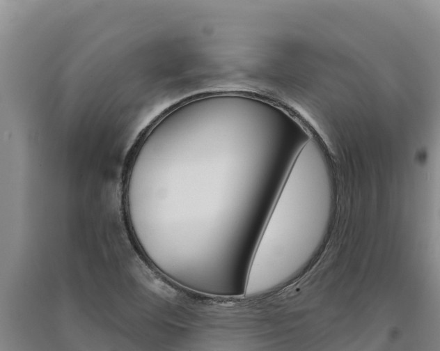 X0000091561460200708171051