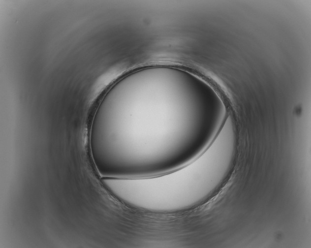 X0000091561461200708171051