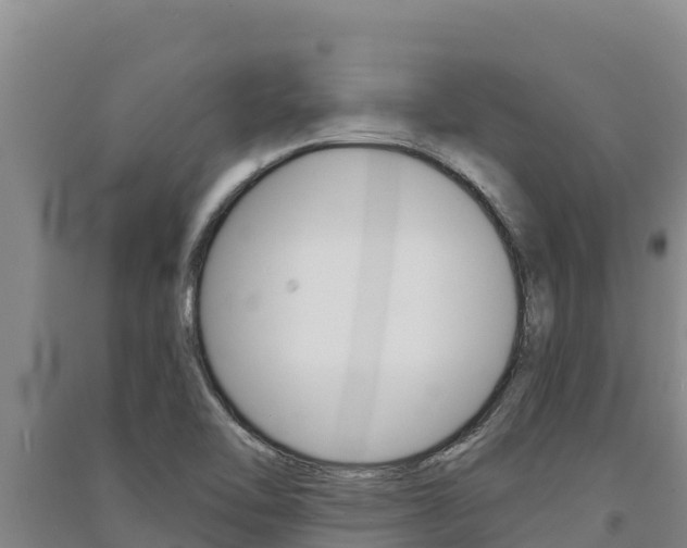 X0000091561462200708171051