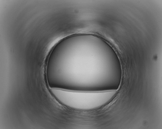 X0000091561463200708171051