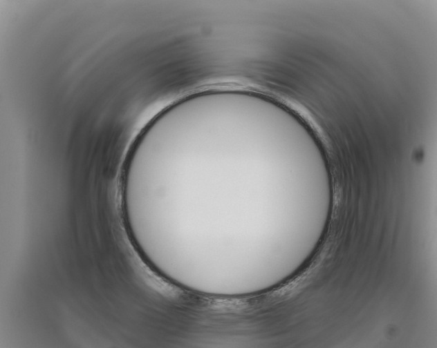 X0000091561466200708171051