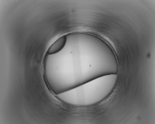 X0000091561467200708171051