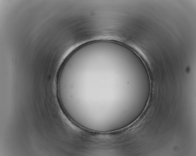 X0000091561468200708171051