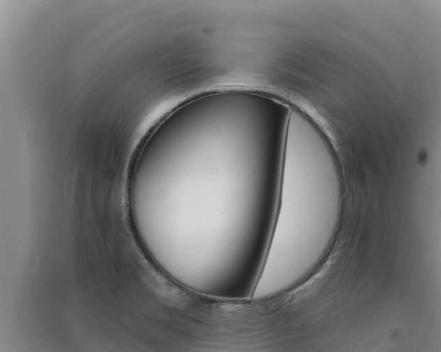 X0000091561469200708171051