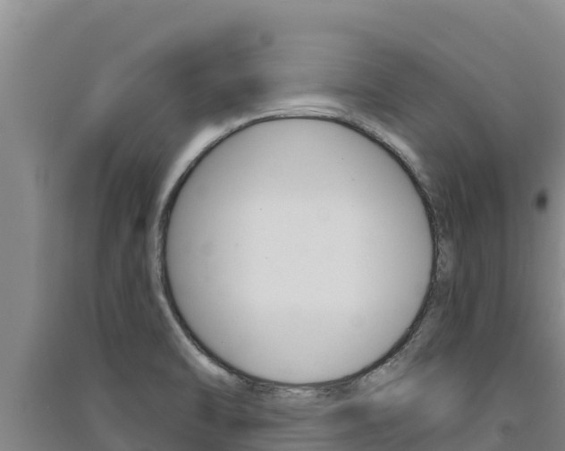 X0000091561470200708171051