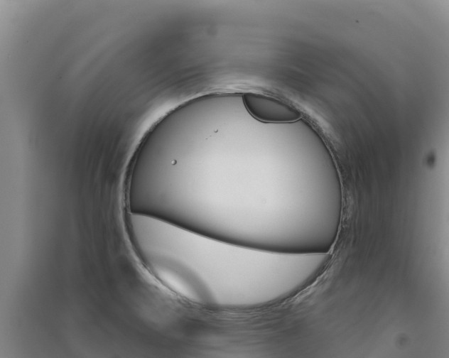 X0000091561471200708171051