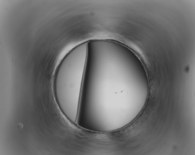 X0000091561472200708171051
